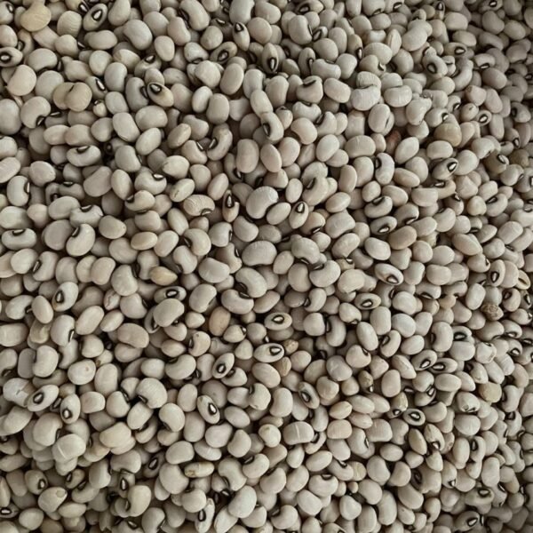 black-eye-beans-safed-lobia-chola-wholesale-ahmedabad.jpg
