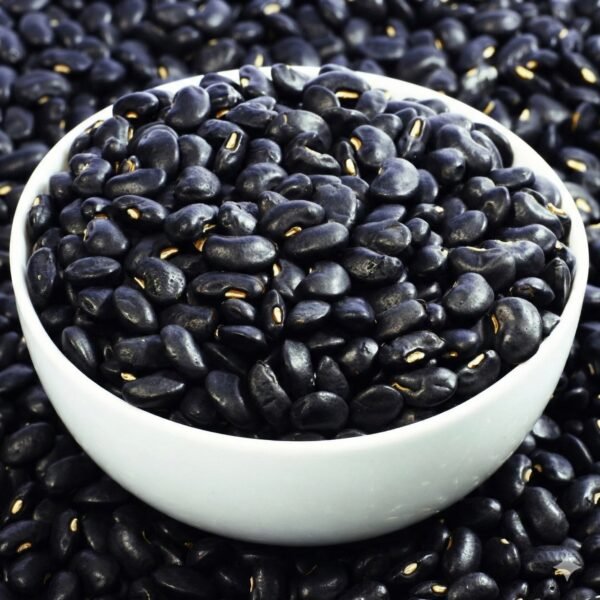 black-kidney-beans-kala-rajma-wholesale-ahmedabad