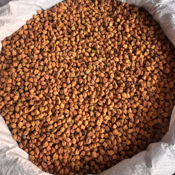 Premium Brown Chickpeas (Desi Kala Chana) Wholesale Supplier Jalaram Food Products