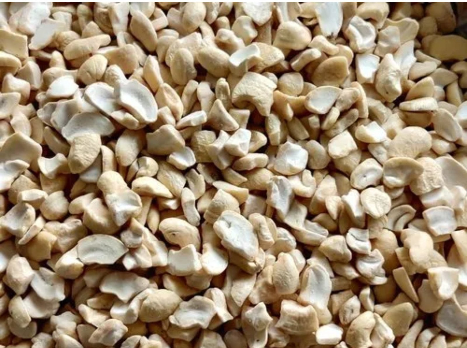 Cashew Broken SWP (Kaju Kani / Small White Pieces) Wholesale Supplier Jalaram Food Products