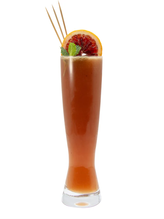 MONIN Blood Orange Syrup - Image 6