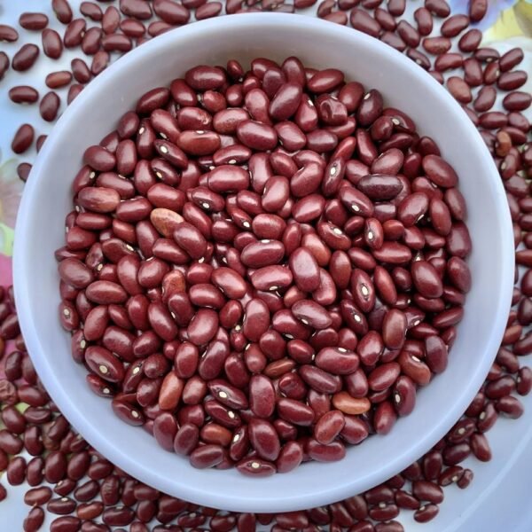 Premium Red Cowpeas (Lal Choli) Wholesale Supplier Jalaram Food Products