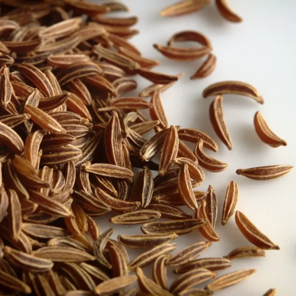 Shahi Jeera (Caraway Seeds / Shahi Jiru) Wholesale Supplier Jalaram Food Products