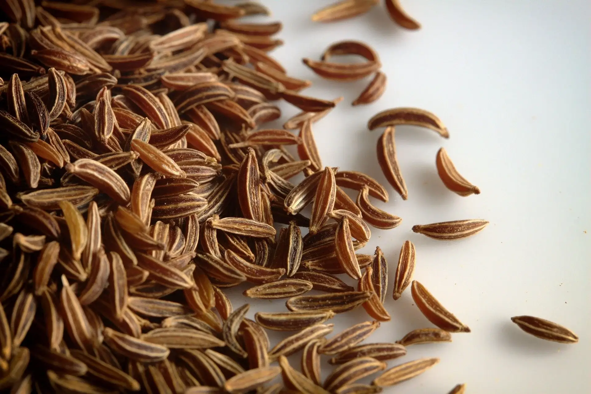Shahi Jeera (Caraway Seeds / Shahi Jiru) Wholesale Supplier Jalaram Food Products
