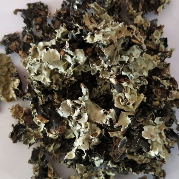 Stone Flower (Patthar Phool / Dagadful) Spice Supplier Jalaram Food Products