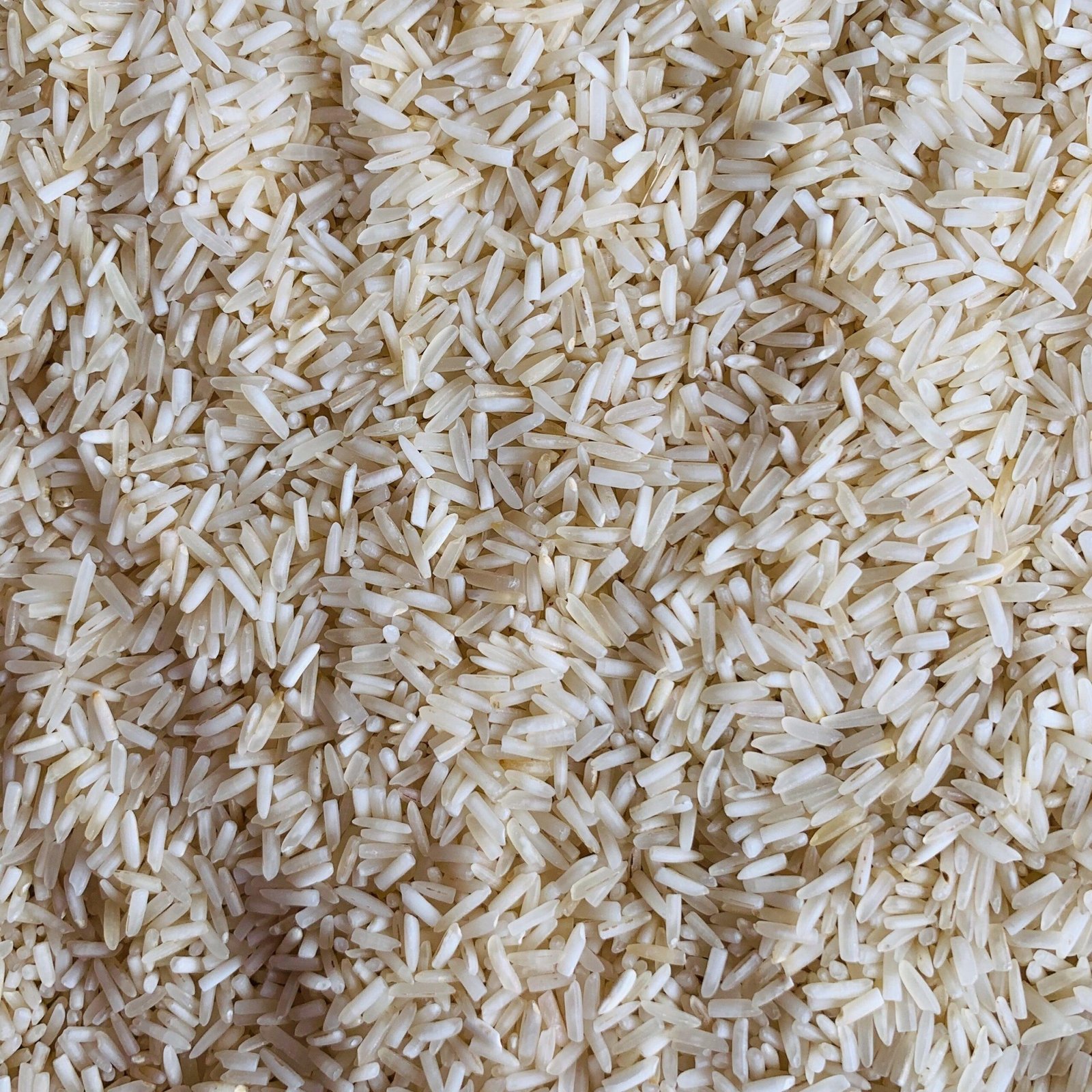 Premium T-Bar Basmati Rice (3/4 Grain) Wholesale Supplier Jalaram Food Products