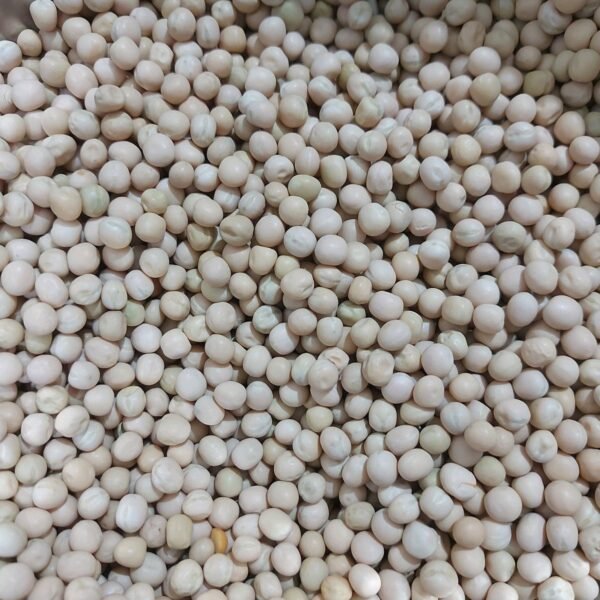 Premium White Peas Dry (Safed Vatana) for Ragda Wholesale Supplier Jalaram Food Products
