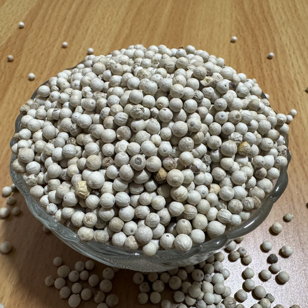 White Peppercorn (Safed Mirch / Safed Mari) Wholesale Supplier Jalaram Food Products