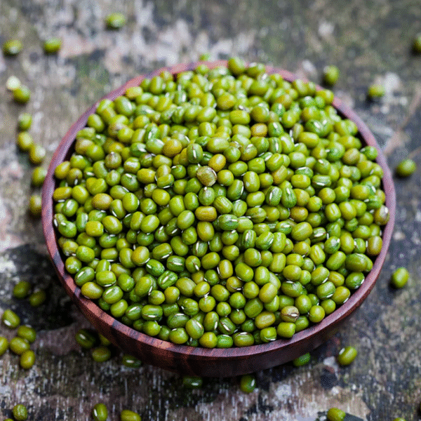 Premium Whole Green Gram (Desi Mag) for Sprouts Wholesale Supplier Jalaram Food Products