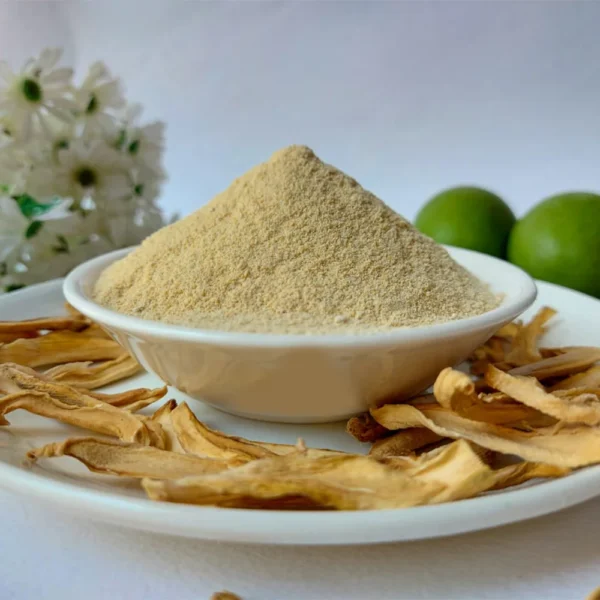 Manufacturer of Dry Mango Powder Amchur Wholesale Ahmedabad