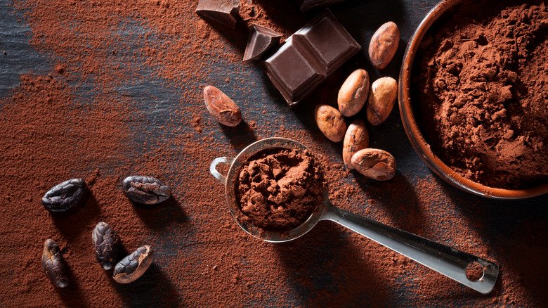 Wholesale Chocolate Powder Drinking Chocolate Supplier Ahmedabad