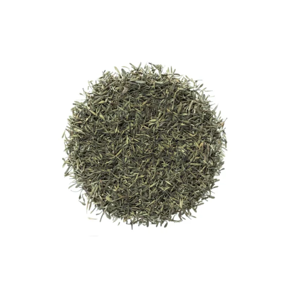 Wholesale Dry Thyme Leaves Continental Herbs Supplier Ahmedabad