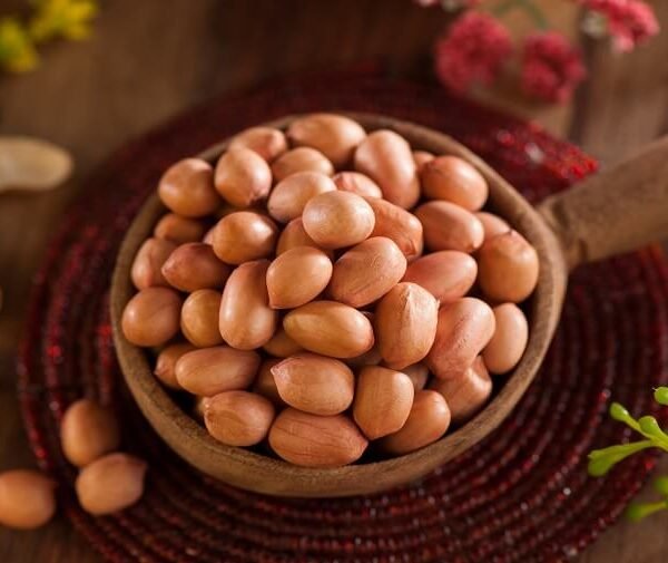 Wholesale Raw Peanuts Kachchi Mungfali Supplier Ahmedabad