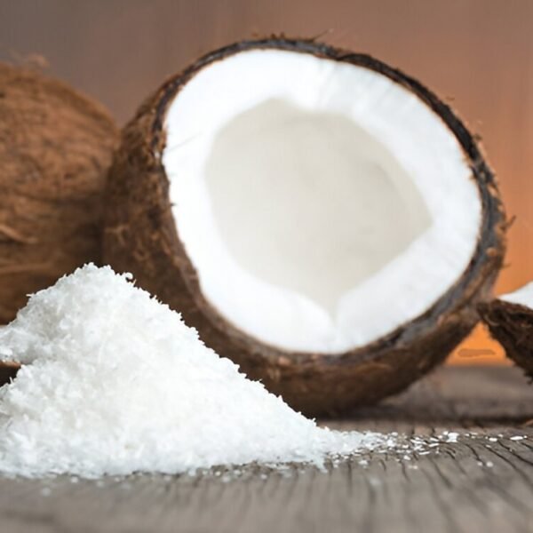 Wholesale Desiccated Coconut Powder Nariyal Bura Supplier Ahmedabad