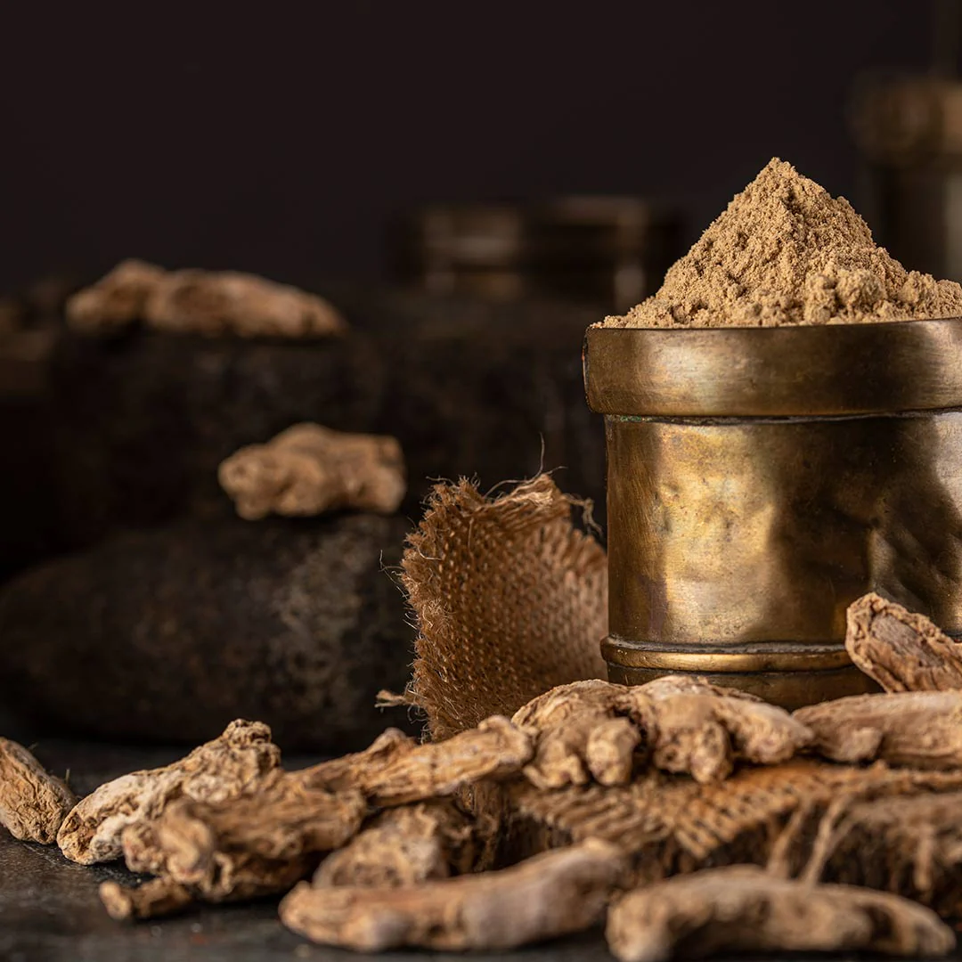 Manufacturer of Dry Ginger Powder Sunth Wholesale Ahmedabad