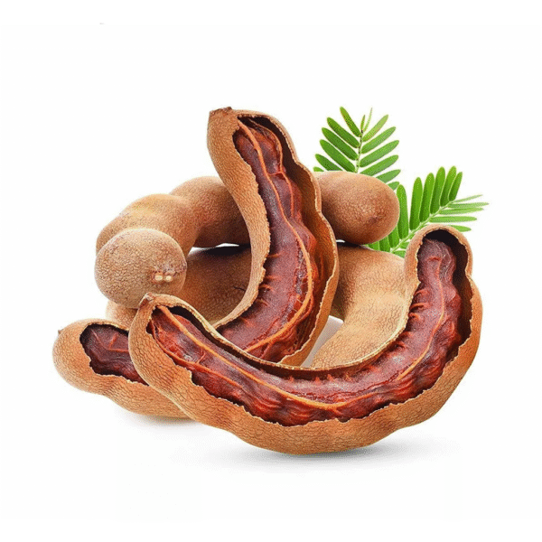 Wholesale Whole Tamarind Imli Slabs Supplier Ahmedabad