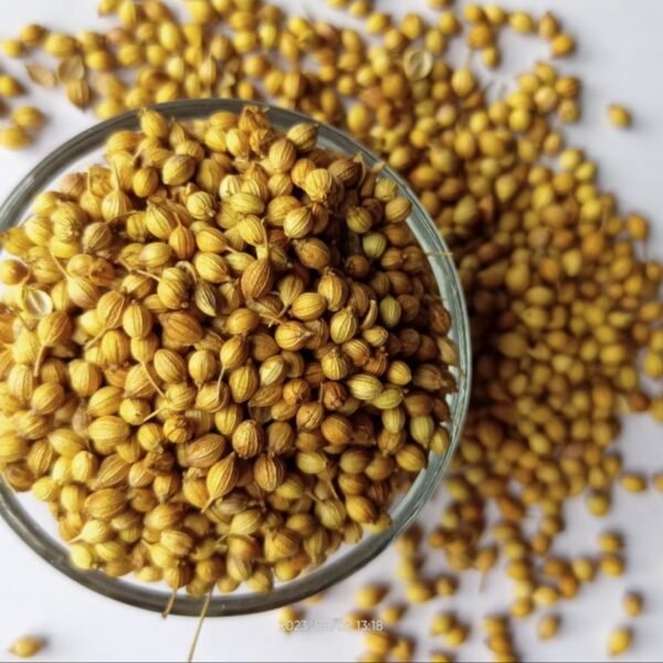Close-up of Green Eagle Grade Coriander Seeds (Akha Dhana) in a jute bag at Jalaram Food Products.